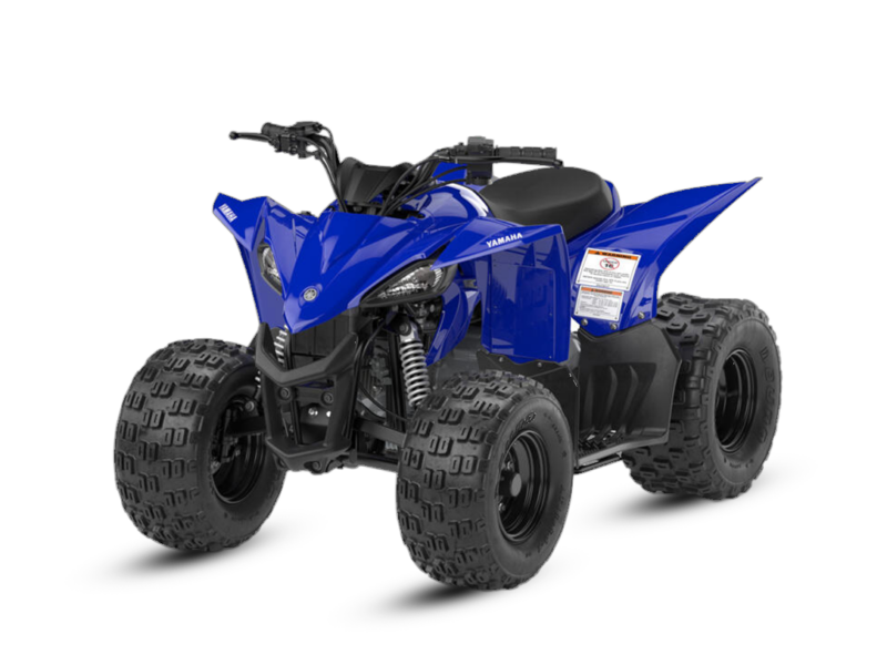 2025 YFZ50